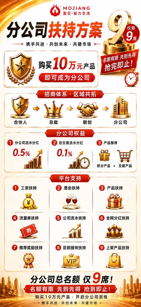 分公司扶持政策
